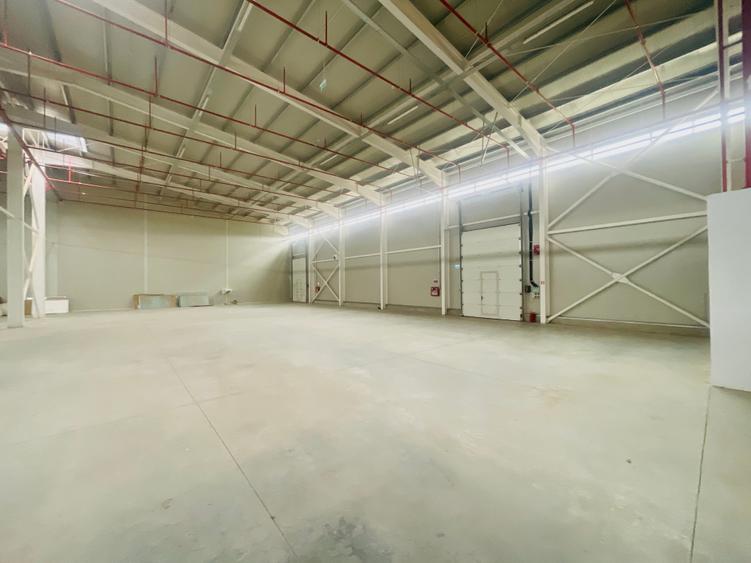 Hala - Drumul Intre Tarlale - Noua - Aviz ISU - 6