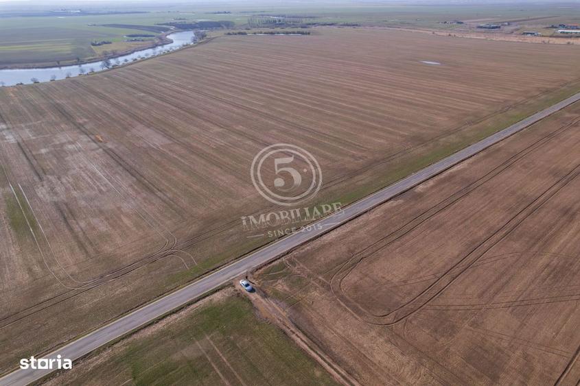 Oportunitate Proiect Rezidential 32 Loturi, PUZ Aprobat, zona Frumu - 4