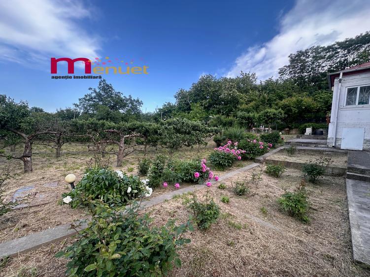 Terenn 2800 mp+ Casa  , oaza de liniste si relaxare - 8