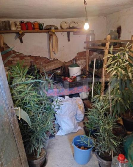 Casa batraneasca, D+P, Podari ,teren 507mp, Deschidere 21.5m - 20