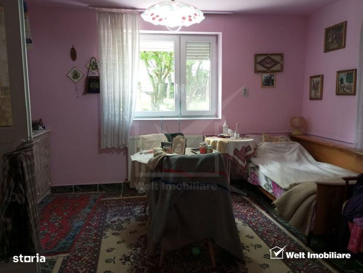 Casa cu teren 3320mp sat Dumbrava Capusu Mare - 8