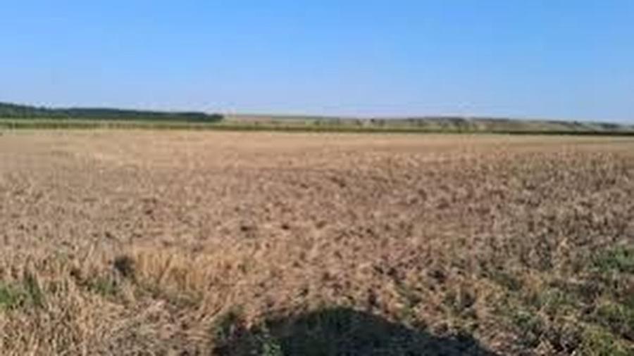 6 hectare de teren agricol arabil in comuna Motatei din judetul Dolj - 1