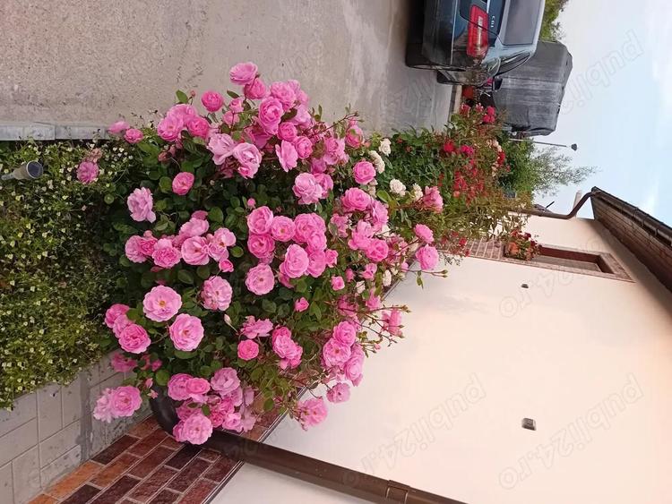 Casa 90mp complet utilata ?i mobilata 130 000 e negociabil - 6