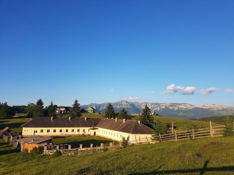 Cabană montană cu panoramă Bucegi & Piatra Craiului – Fundata - 11