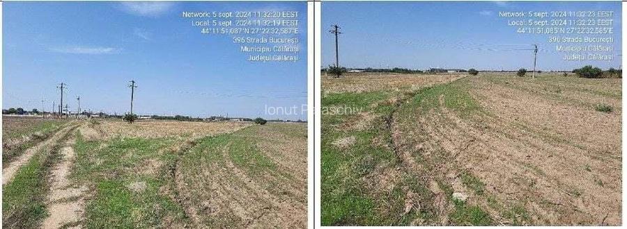 Teren Modelu, jud Calarasi, ID: 18949