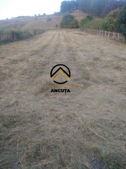 195309-Teren de vanzare, Com. Garbau, Cluj - 1