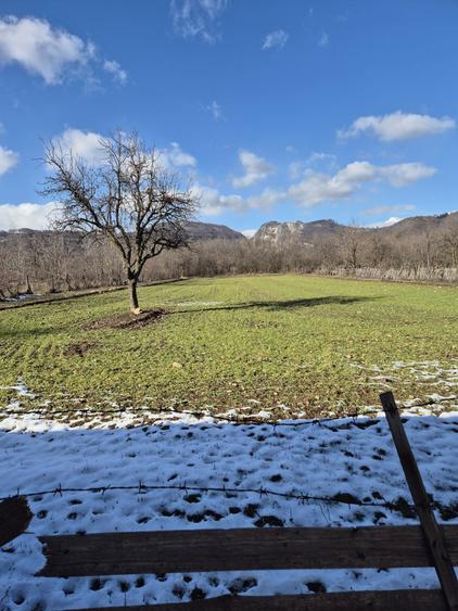 Vand teren plus casa - 5