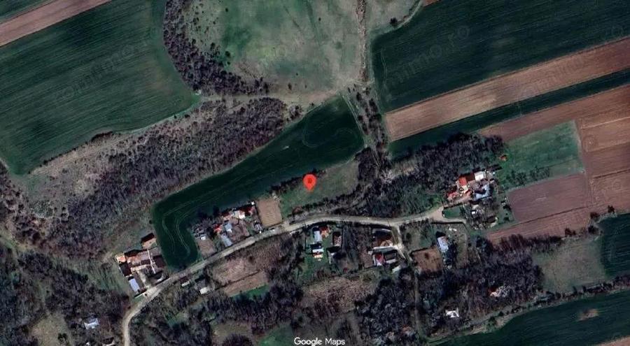 Cota de 1/4 dinteren extravilan- com. Buzoesti, jud. Arges - 6
