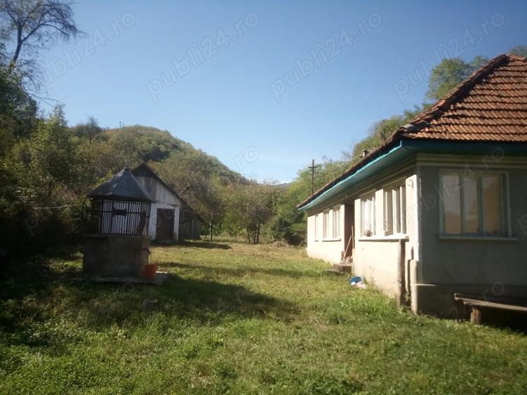 Vand Casa Halmagiu Sat Tisa - 1