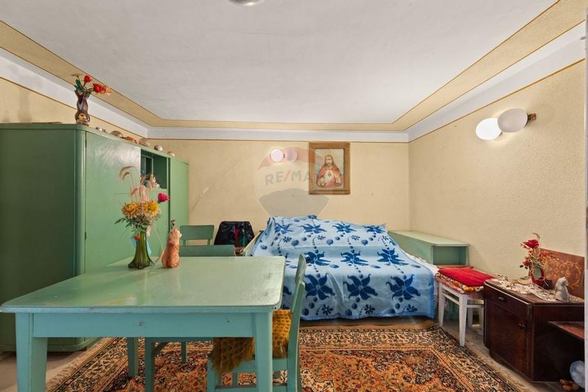 Gospodarie autentică bănățeană, cu teren generos și livadă – Frumușeni - 5