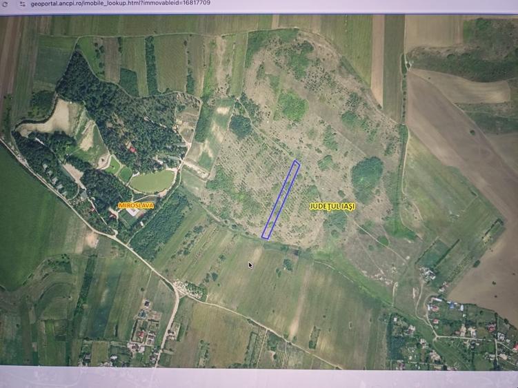 Vând teren extravilan Miroslava - 1