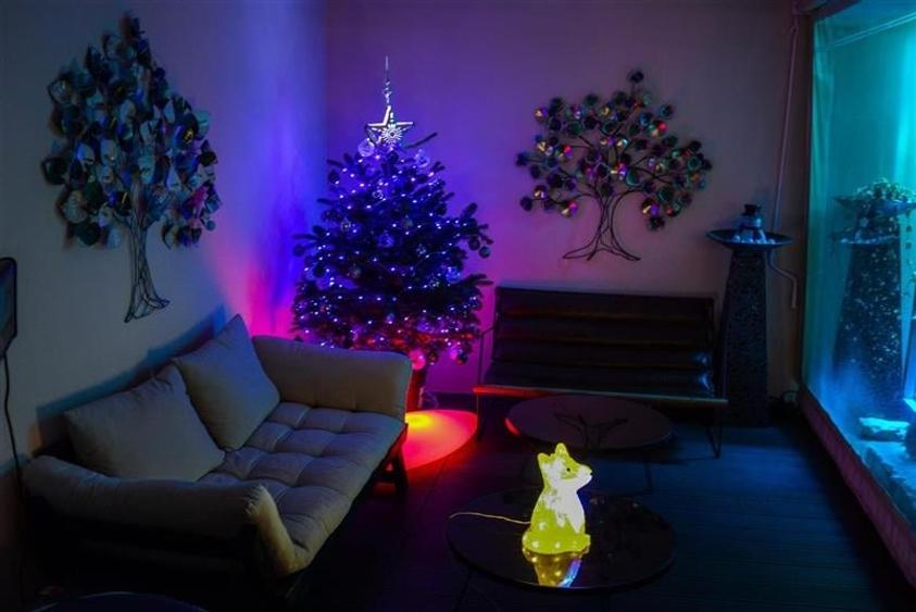 Nivel in vila, in caracter unic, dotari de colectie, terase, parcare securizata, - 15