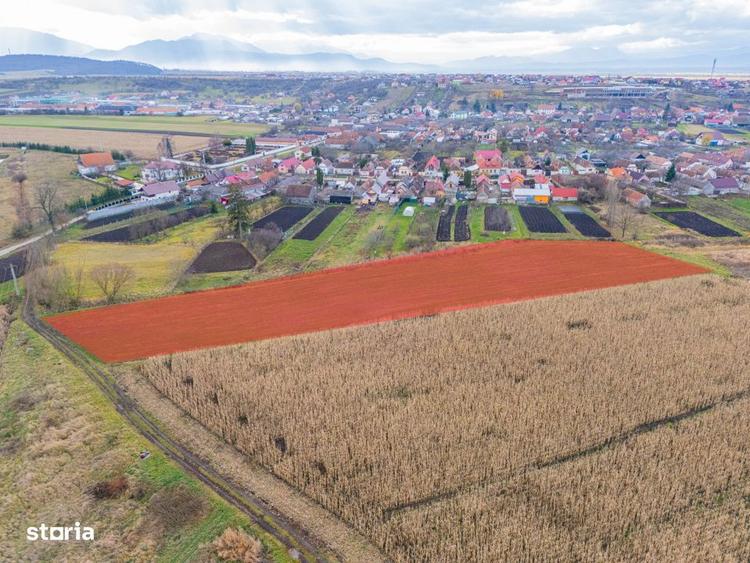 Teren extravilan Bod, 10.000 mp, acces DE 290, zona spre Harman - 6