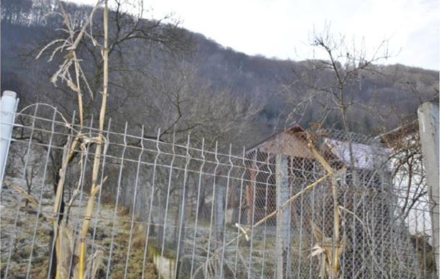 Casă/vilă 6 camere, VALCEA, ROBESTI - 6