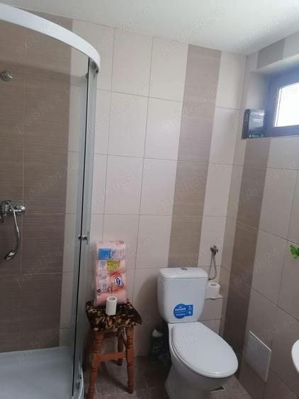 Casa si Teren Tara Lovistei Greblesti - 12