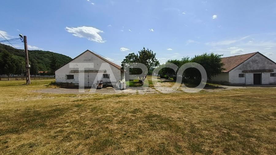 Platforma industriala cu cladiri de vanzare in Salistea de Alba - 20