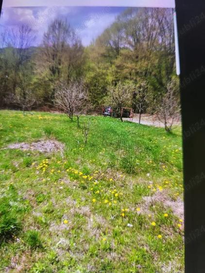 Vand teren intravilan - 3