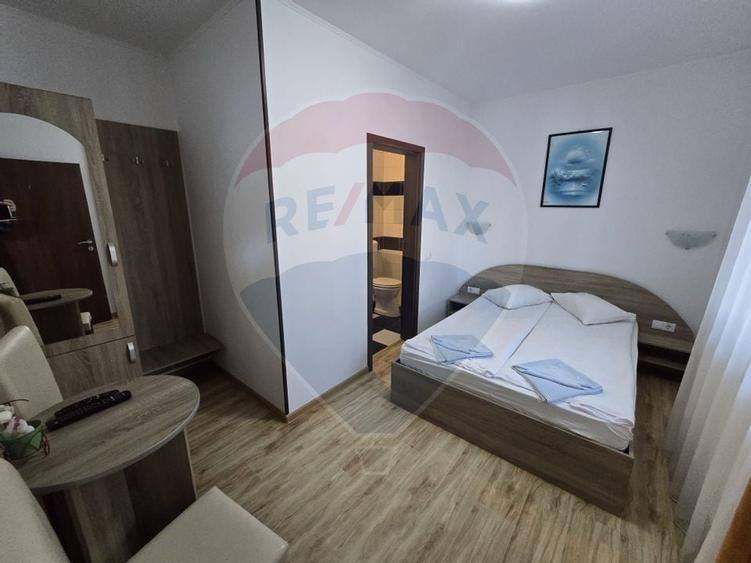 VILA ORHIDEEA  PENSIUNE  DE VANZARE IN STATIUNEA  PALTINIS JUD SIBIU - 19