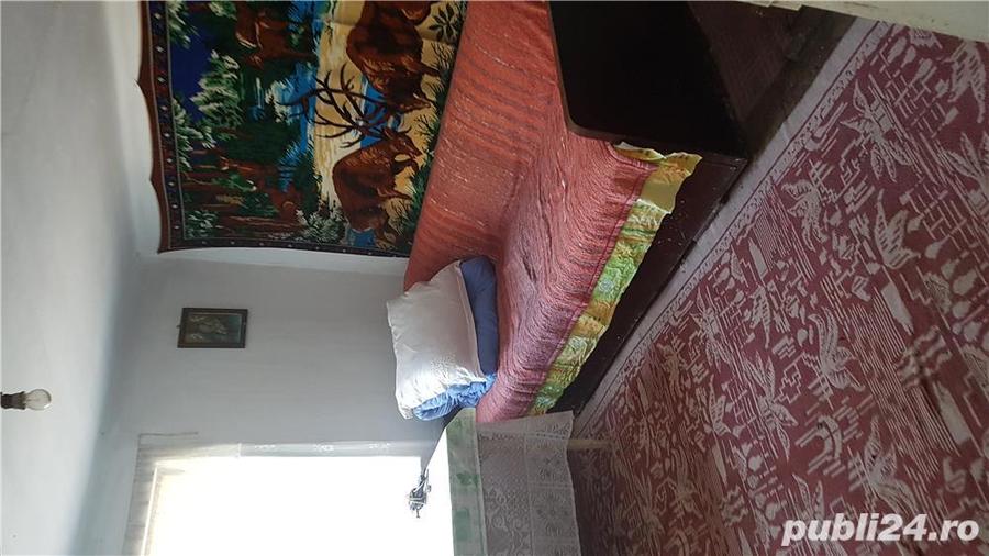 Casa de vanzare in sat Bistret, comuna Devesel, Judet Mehedinti - 7