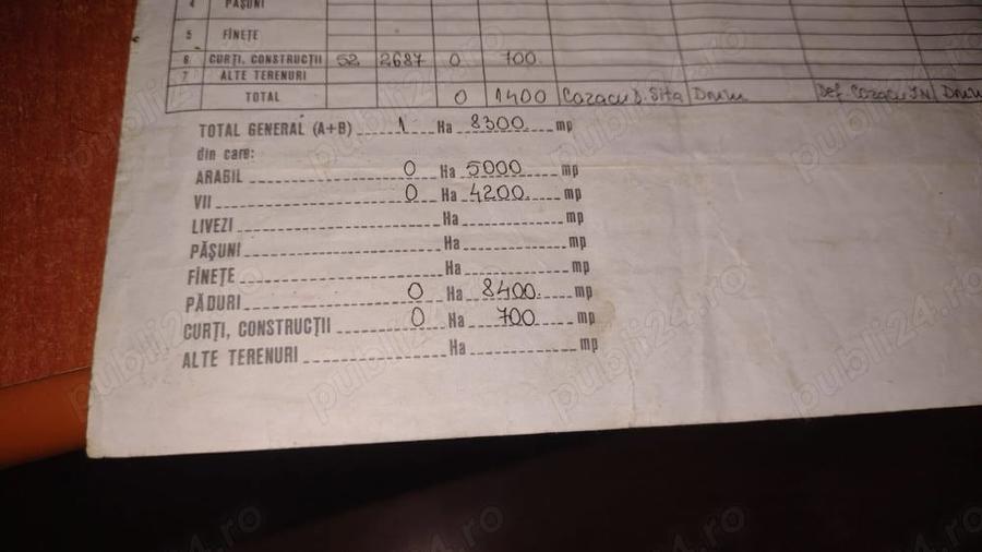 Casa batraneasca cu teren arabil si padure - 4