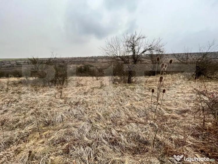 REDUCERE!!! Teren extravilan 5.613 mp, livada, zona Prede? - 1