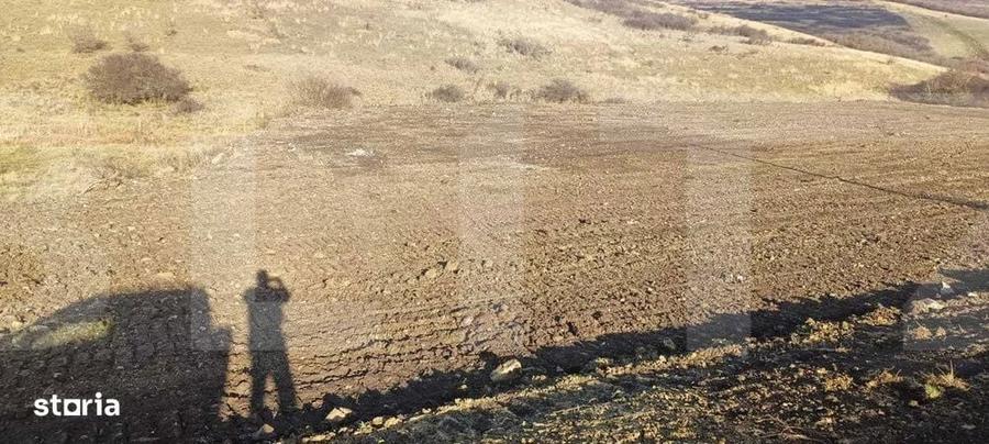 Teren intravilan 12.656 mp cu deschidere mare la drum oportunitate - 3