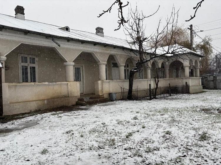 Vand gospodarie taraneasca traditionala - 10