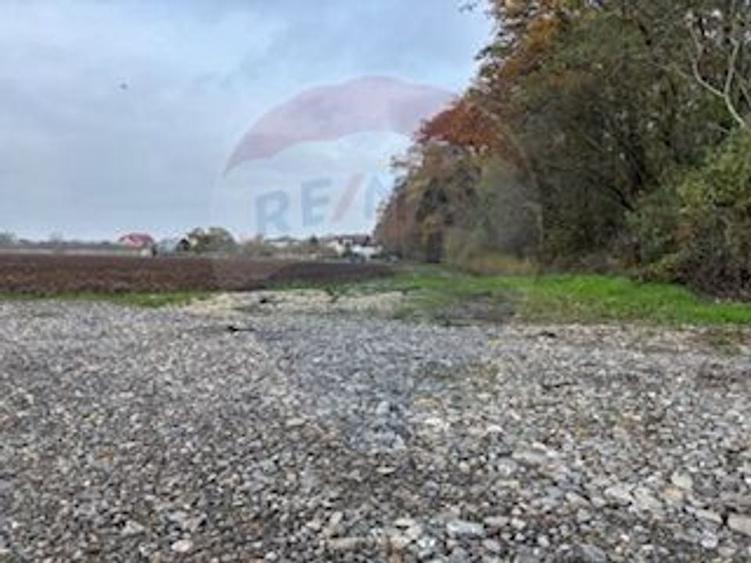 Teren Vladiceasca / Soseaua Vladiceasca 1109 mp Liziera Padurii - 1