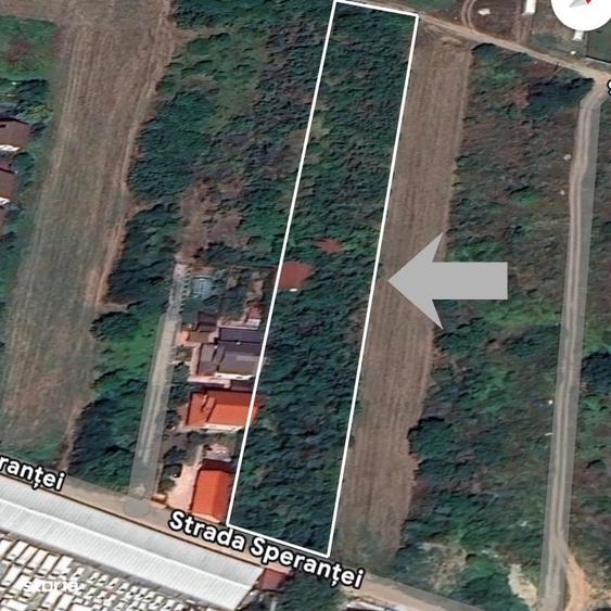 Vanzare teren intravilan 5014mp Afumati - Strada Sperantei - 7