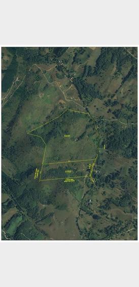 Pasune si padure 40,8983 ha ,pretabil expl piatra pt constructii - 3