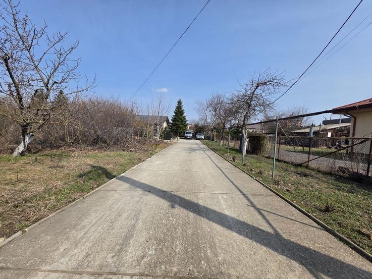 Casa cu teren 1250 m Matei Millo - 10