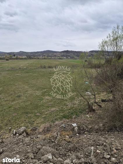 Teren 1000 mp-Oportunitate de Investitie-Zona Aerodrom - 3