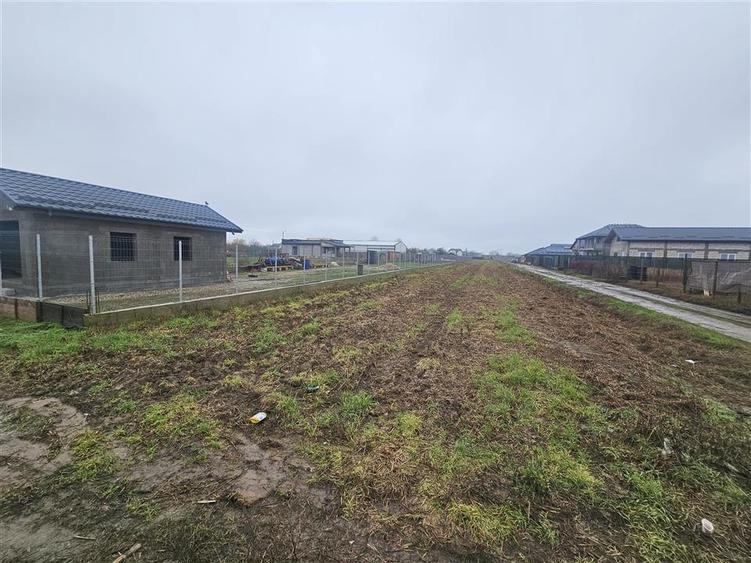 Teren intravilan Darasti - Ilfov - 3