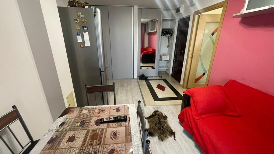 Apartament 2 camere,zona E3 - 1