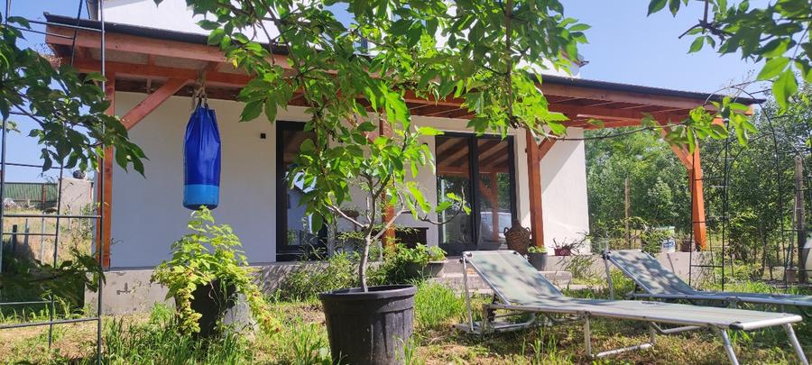 Casa din gradini - 15