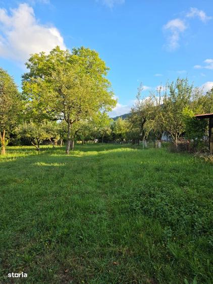 Teren 2500 mp POTEN?IAL BUSINESS / DEZVOLTARE Breaza - 3