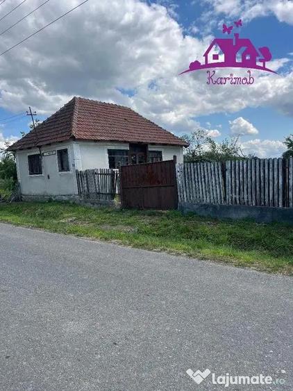 Casa in localitatea Carandeni - 4