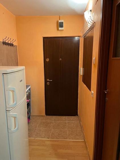 Garsoniera Lapus Arges (zona frigorifer ) - 3