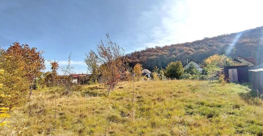 Teren Intravilan Bunloc - 5