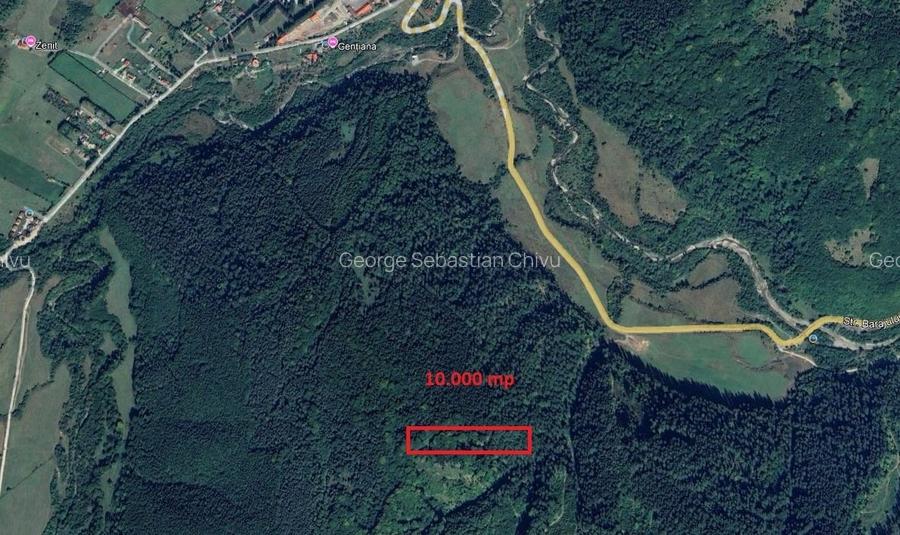 Teren cu padure in Bradet intre DN 1 A si raul Doftana