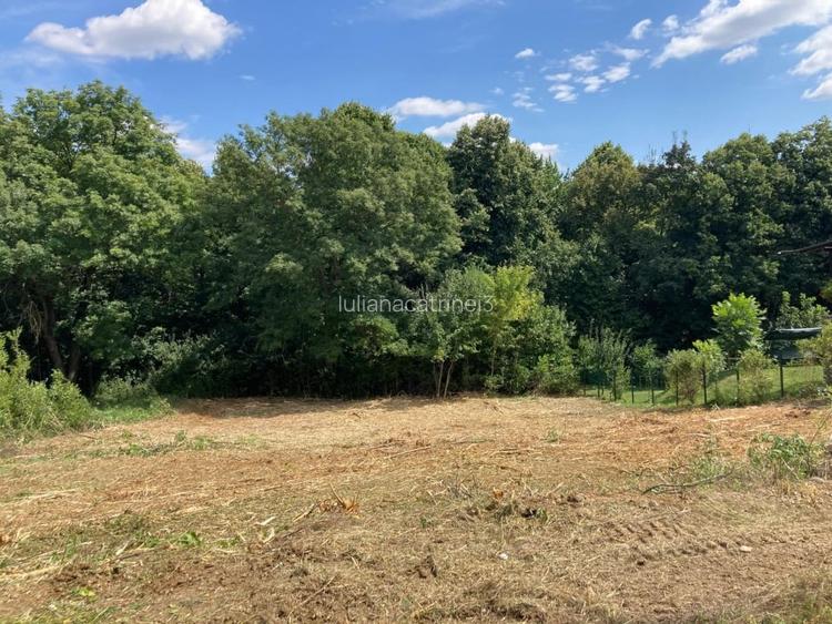 TEREN INTRAVILAN 1000 MP, BUCIUM- BARNOVA, DESCHIDERE LA DRUM 23 M
