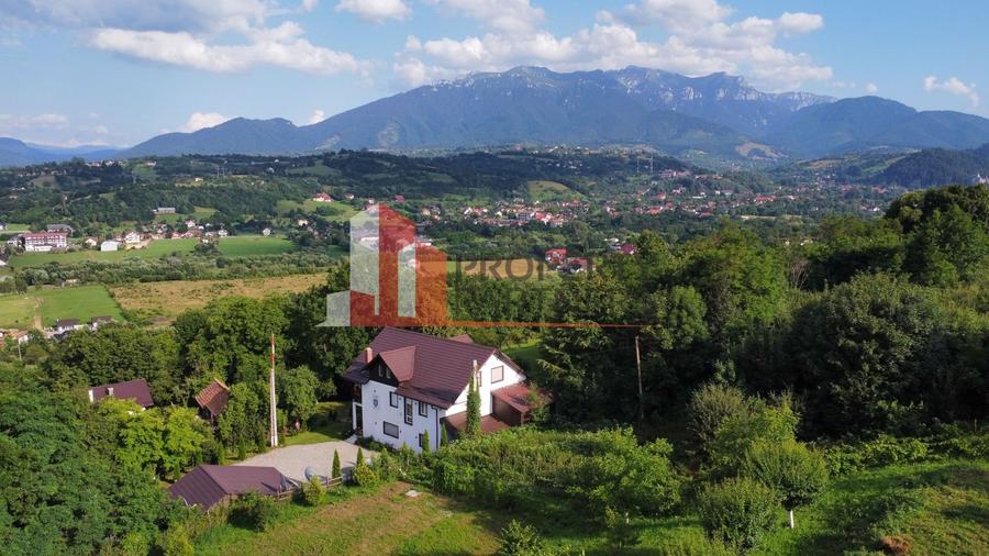 Vilă in Bran cu teren de 28.000 mp și priveliște spectaculoasa - 4