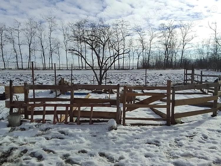 Casa de vanzare judet Botosani - 2