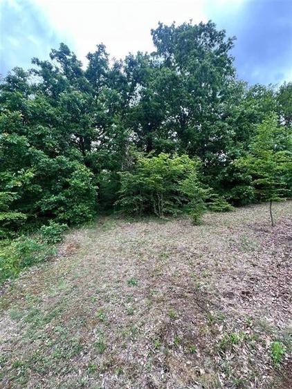 RECO teren de vanzare in zona Betfia - 3