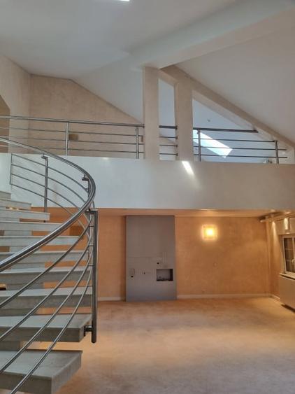 Vila cu arhitectura reprezentativa, aproape de Piata Victoriei - 19