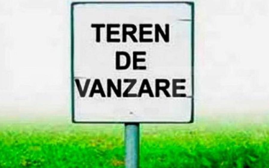 Teren intravilan de 1014 mp, P+1+M, Calea Torontalului - 2