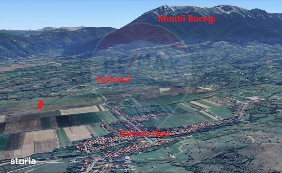 Teren Bran Sohodol - 11089, extravilan - 3