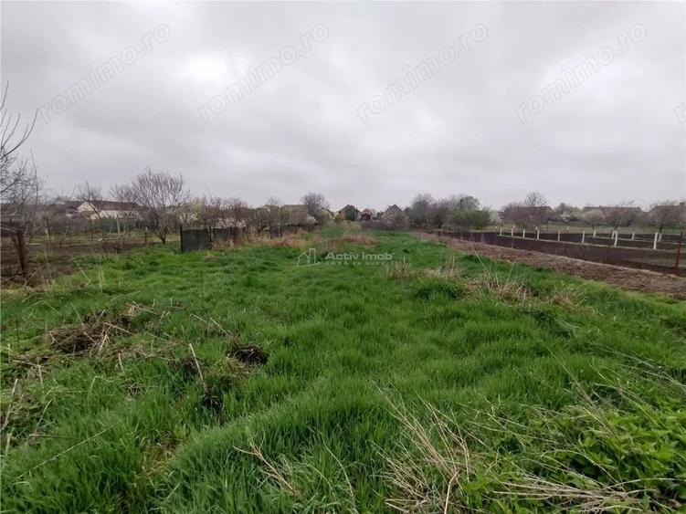 Iecea Mare - Timis, Casa cu Gradina, 1800mp Teren, Pret Negociabil - 6