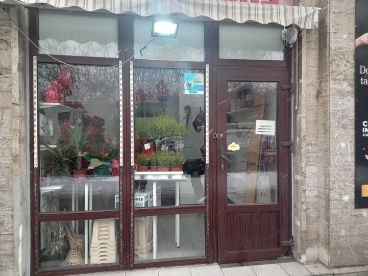 Gara de Nord, vand spatiu comercial cu chirias stabil - 1