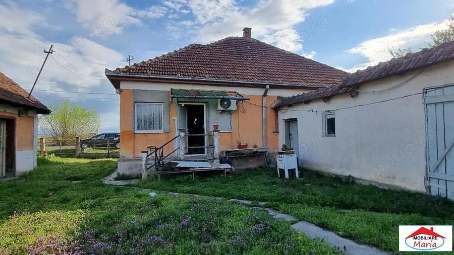 Casa cu teren 14,40 ari in Corod-Culciu jud Satu Mare - 8